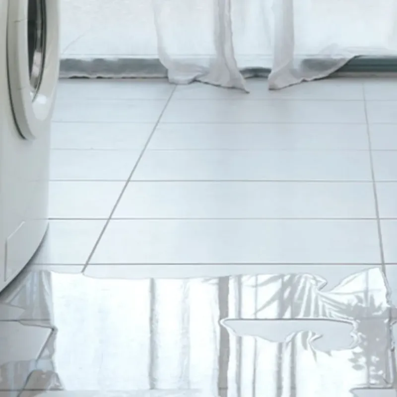 Appliance Leak Cleanup in Isle of Wight County, VA