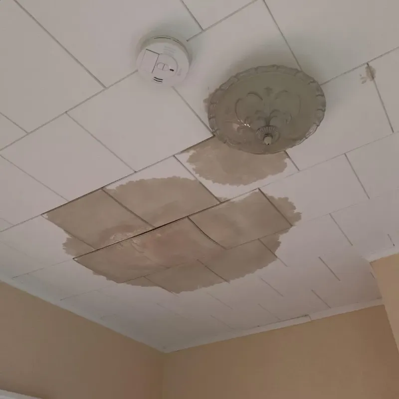Ceiling Water Damage Repair in Isle of Wight County, VA