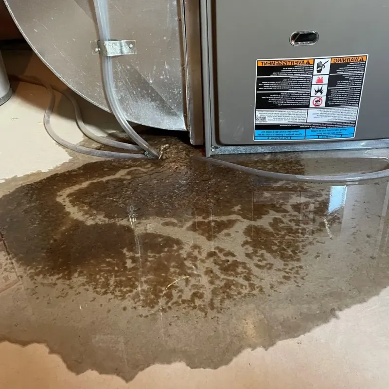 Pipe Burst and Leak Restoration in Isle of Wight County, VA