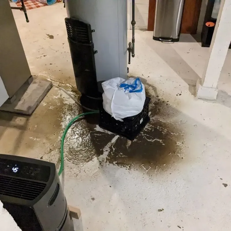 Sewage Backup Cleanup Service in Isle of Wight County, VA